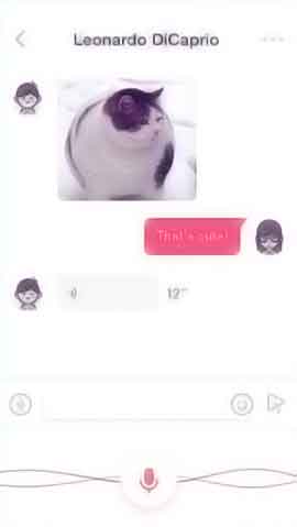 免费短信呼死你2023